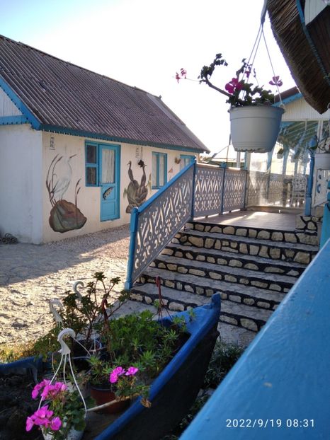  - Vacanta in Delta Dunarii