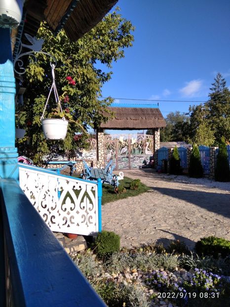  - Vacanta in Delta Dunarii