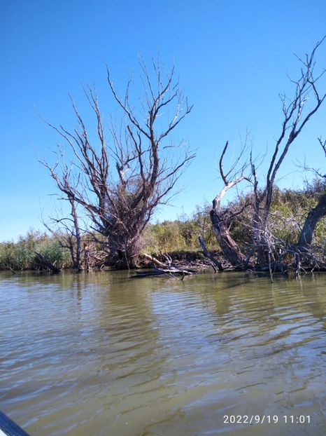  - Vacanta in Delta Dunarii