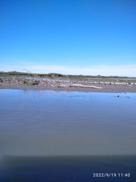  - Vacanta in Delta Dunarii