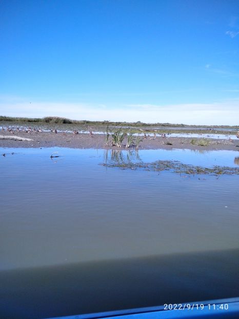  - Vacanta in Delta Dunarii