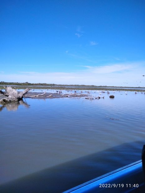  - Vacanta in Delta Dunarii