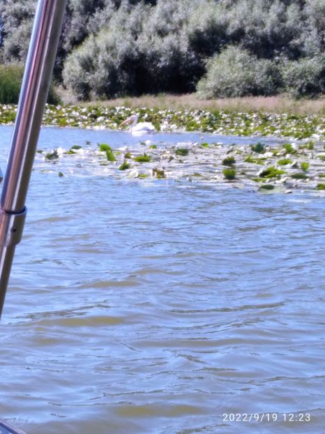  - Vacanta in Delta Dunarii