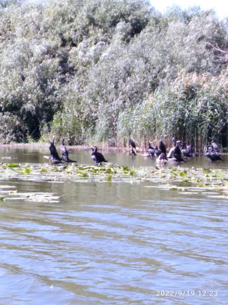  - Vacanta in Delta Dunarii