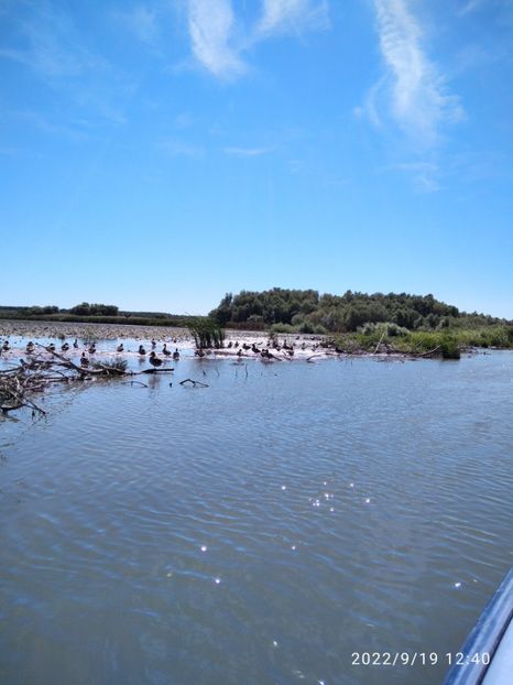  - Vacanta in Delta Dunarii