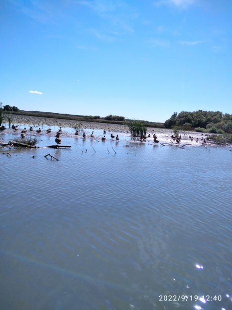  - Vacanta in Delta Dunarii