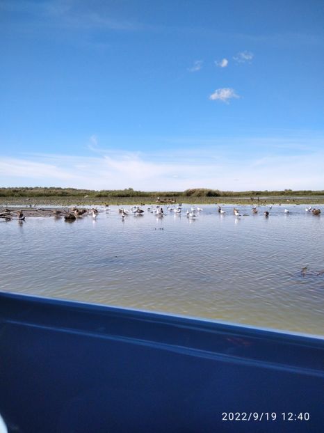  - Vacanta in Delta Dunarii