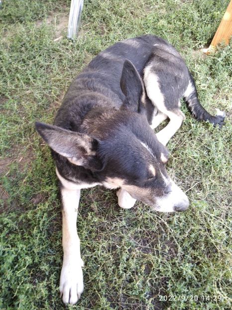  - Vacanta in Delta Dunarii