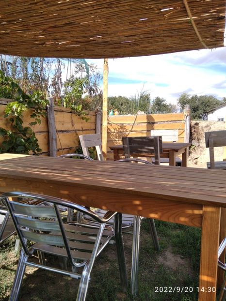  - Vacanta in Delta Dunarii