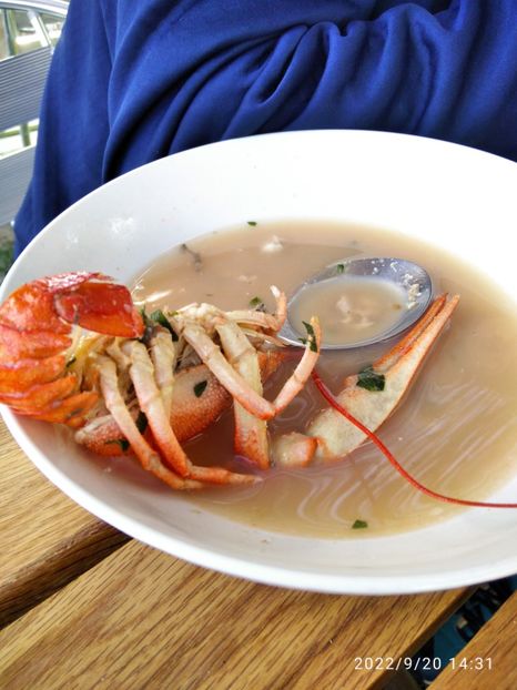  - Vacanta in Delta Dunarii