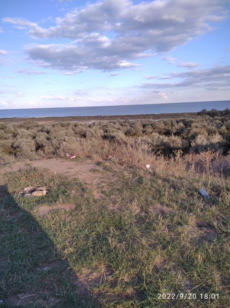  - Vacanta in Delta Dunarii