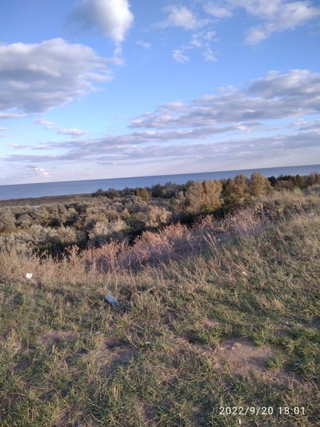  - Vacanta in Delta Dunarii