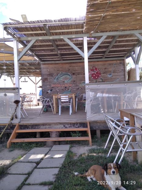 Taverna3 - Vacanta in Delta Dunarii