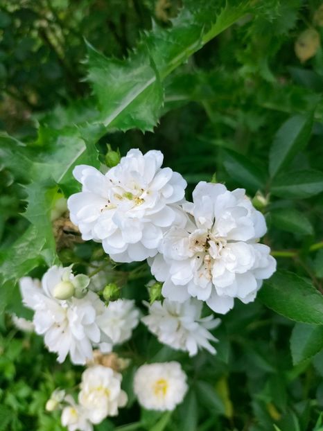 IMG20221003122820 - Septembrie 2022 vol 2