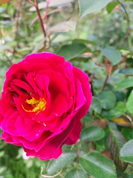 IMG20221003122757 - Septembrie 2022 vol 2