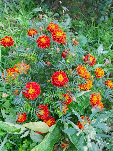 IMG20221003122742 - Septembrie 2022 vol 2