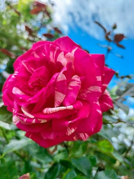 IMG20221003122601 - Septembrie 2022 vol 2