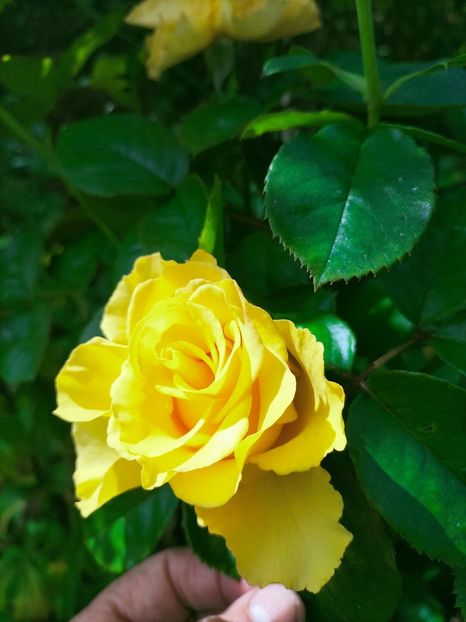 IMG20221003122353 - Septembrie 2022 vol 2