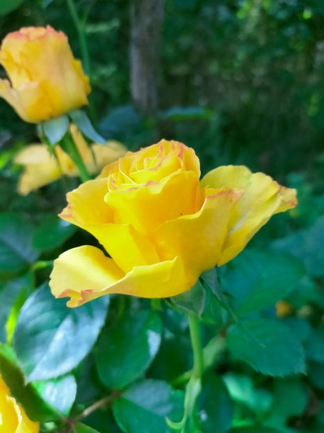 IMG20221003122350 - Septembrie 2022 vol 2