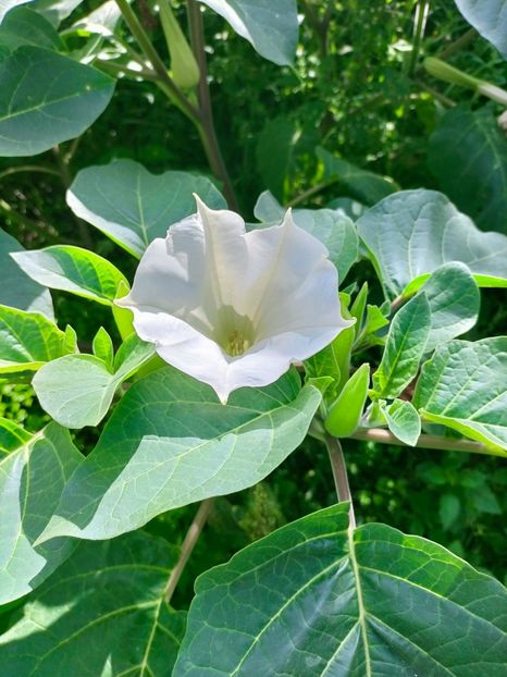 IMG20221003122300 - Septembrie 2022 vol 2