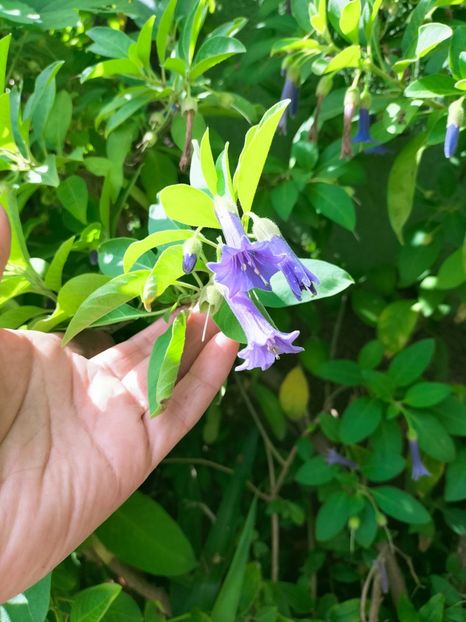 IMG20221003122208 - Septembrie 2022 vol 2