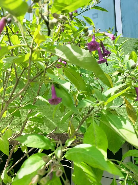 IMG20221003122154 - Septembrie 2022 vol 2