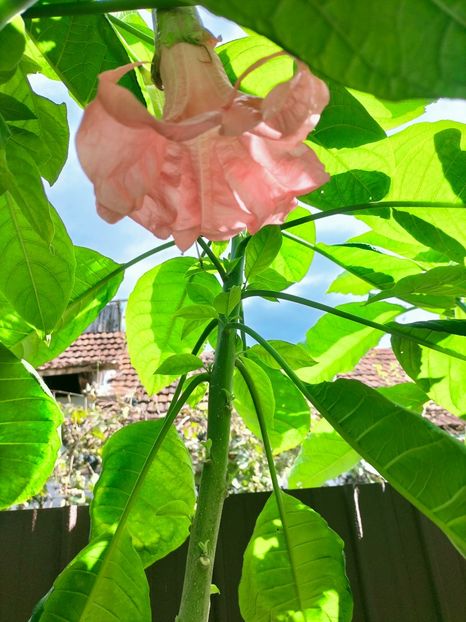 IMG20221003122133 - Septembrie 2022 vol 2