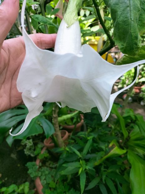 IMG20221003122050 - Septembrie 2022 vol 2