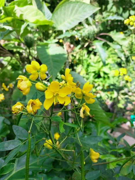 IMG20221003122037 - Septembrie 2022 vol 2