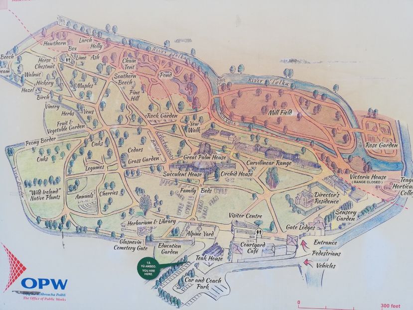  - 2022 Gradina botanica Dublin