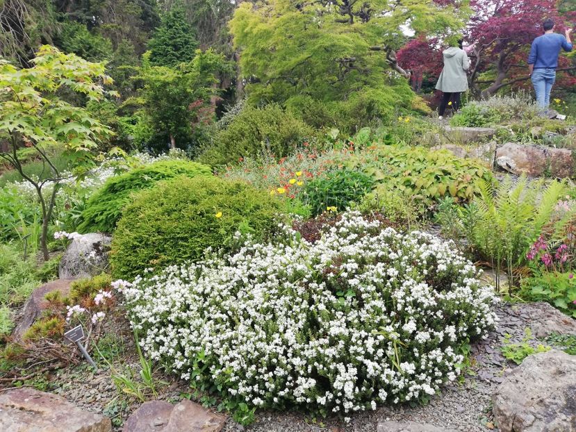  - 2022 Gradina botanica Dublin