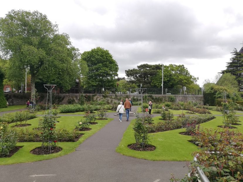  - 2022 Gradina botanica Dublin