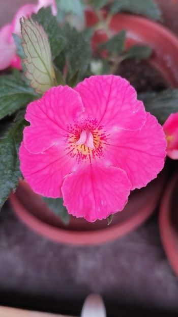  - Belas Memorias- deea01