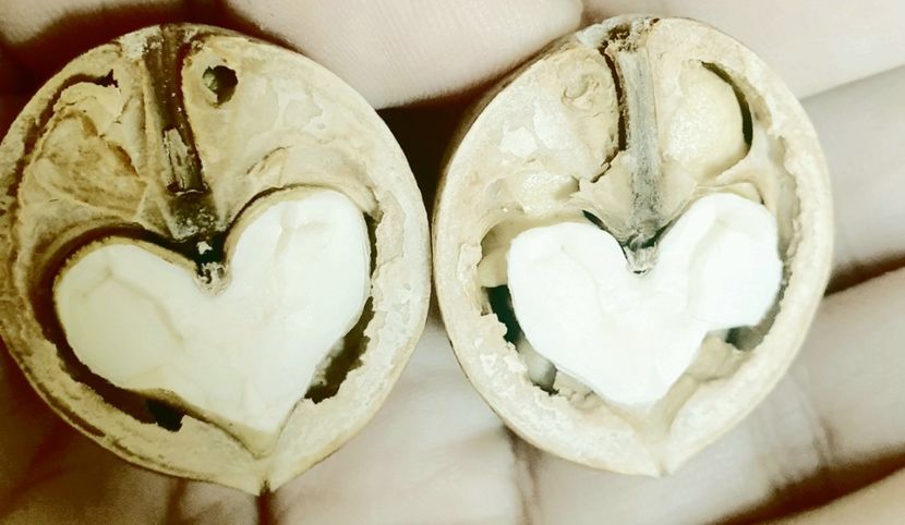 Sa va mangaie fericirea pe viata ! Dimineata placuta va doresc ❤️ - Universul si Natura