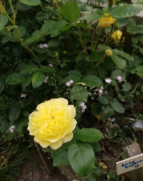 Anny Duperey 2022 - Anny Duperey