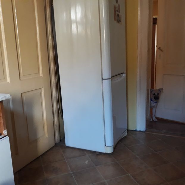 Cucu-bau ! - Codiță-Cody -Coco