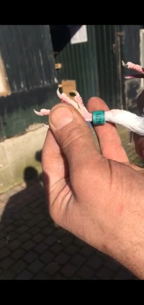 Screenshot_20221006-144844_YouTube - Ispas van der Horst