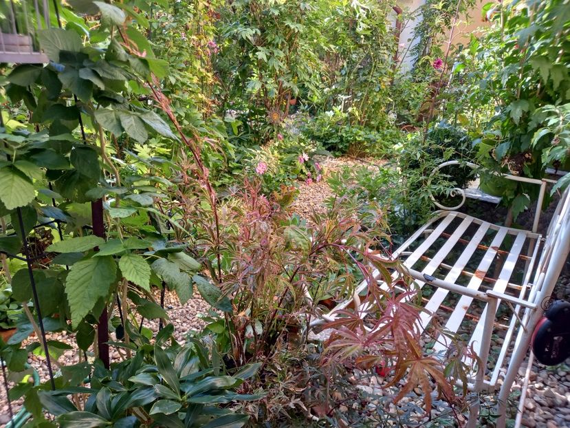  - Grădina 2022 continuare 4