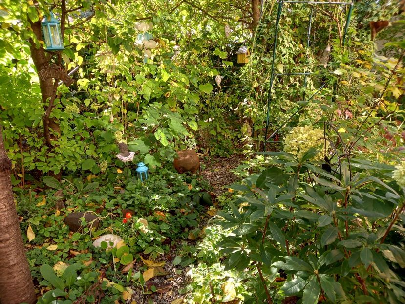  - Grădina 2022 continuare 4