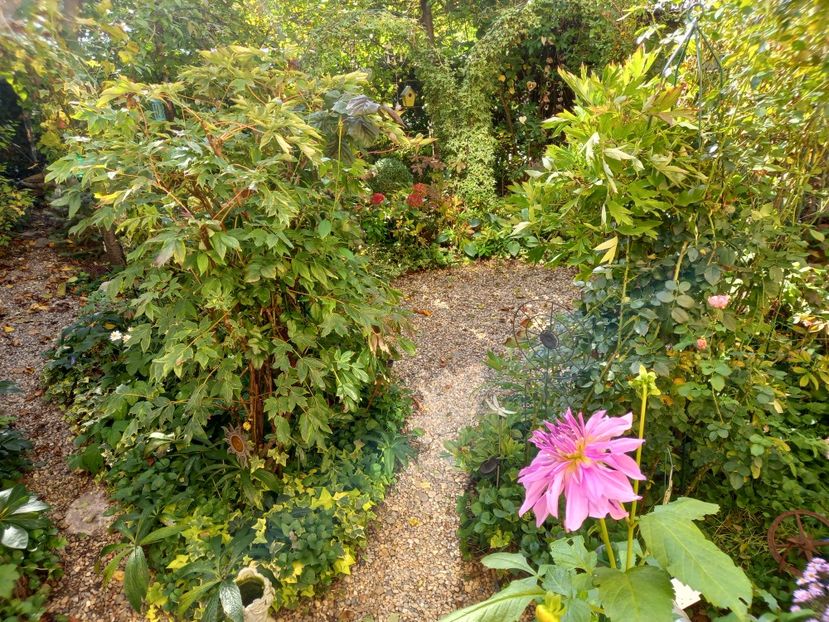  - Grădina 2022 continuare 4