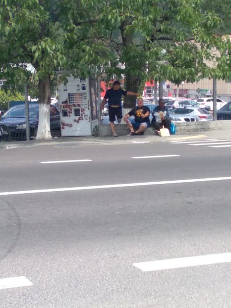 IMG-20220625-WA0025 - Vâlcea