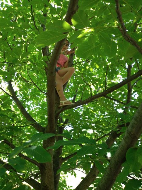 IMG-20220625-WA0024 - Vâlcea