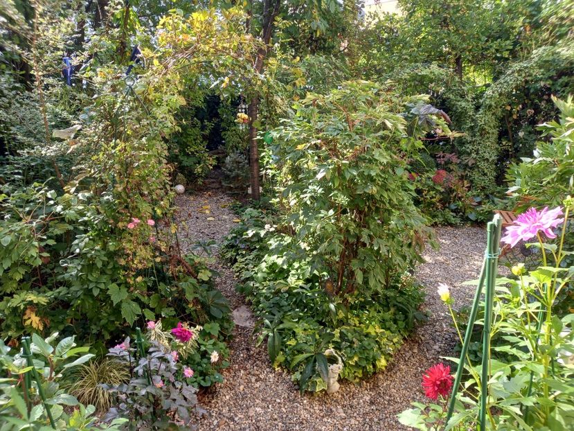  - Grădina 2022 continuare 4