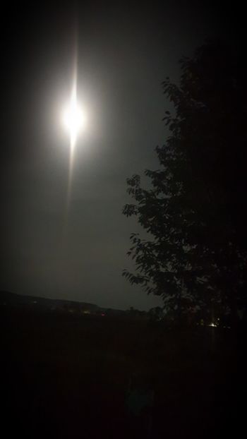  - Universul si Natura