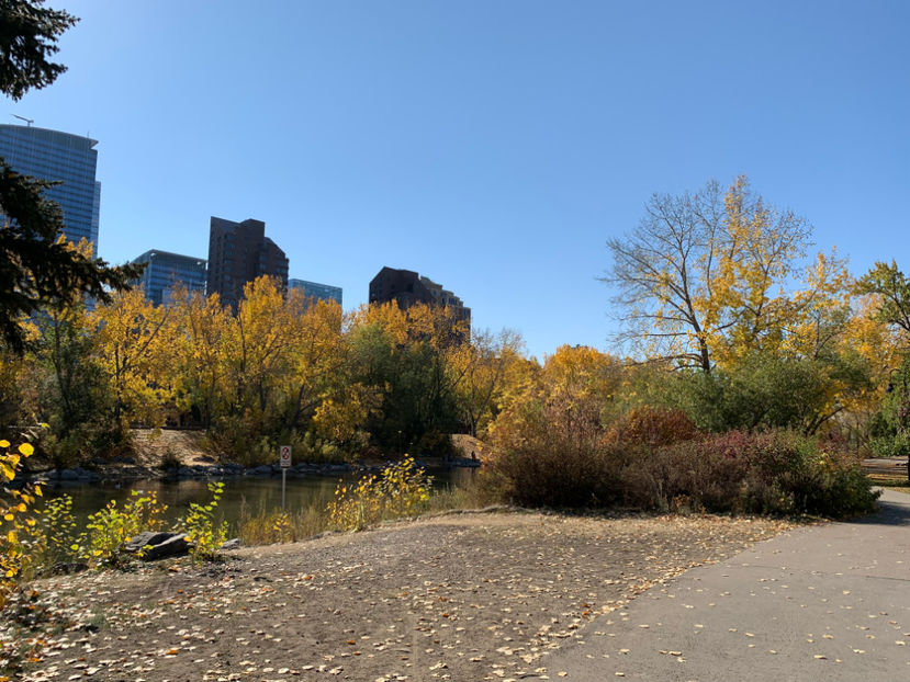  - Prince s Island Park si Peace Bridge