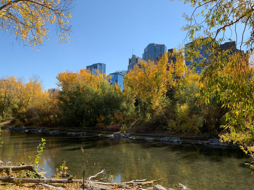  - Prince s Island Park si Peace Bridge