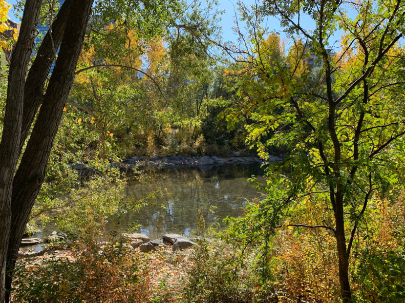  - Prince s Island Park si Peace Bridge