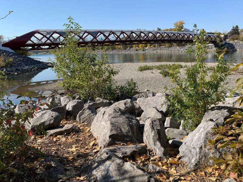  - Prince s Island Park si Peace Bridge