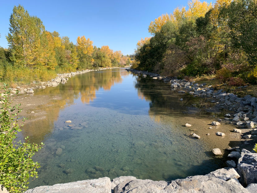  - Prince s Island Park si Peace Bridge