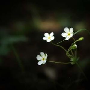 18738357_1527709250636111_163365777340132175_o - photos